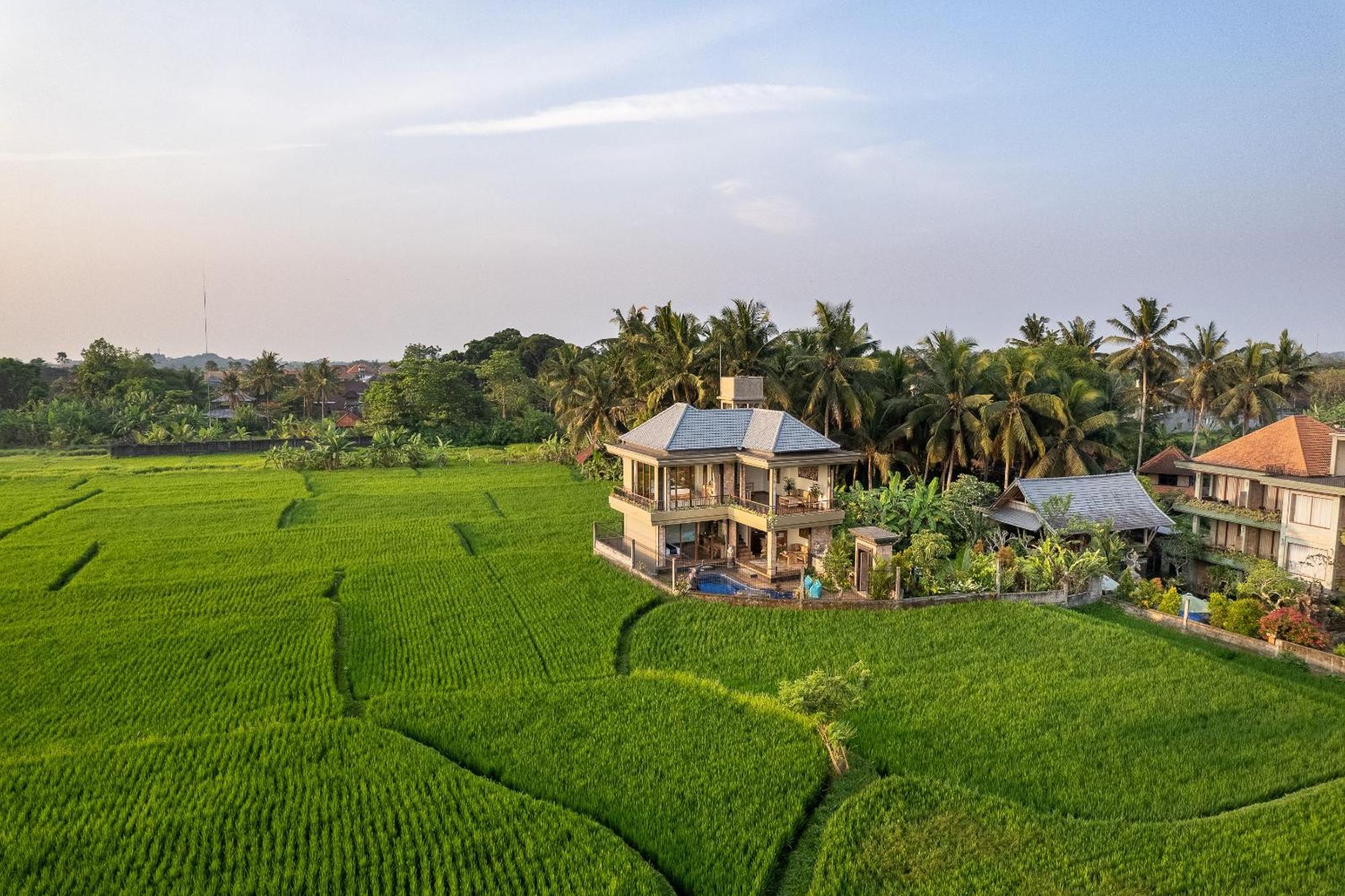 Gynandha Ubud Cottage Bagian luar foto