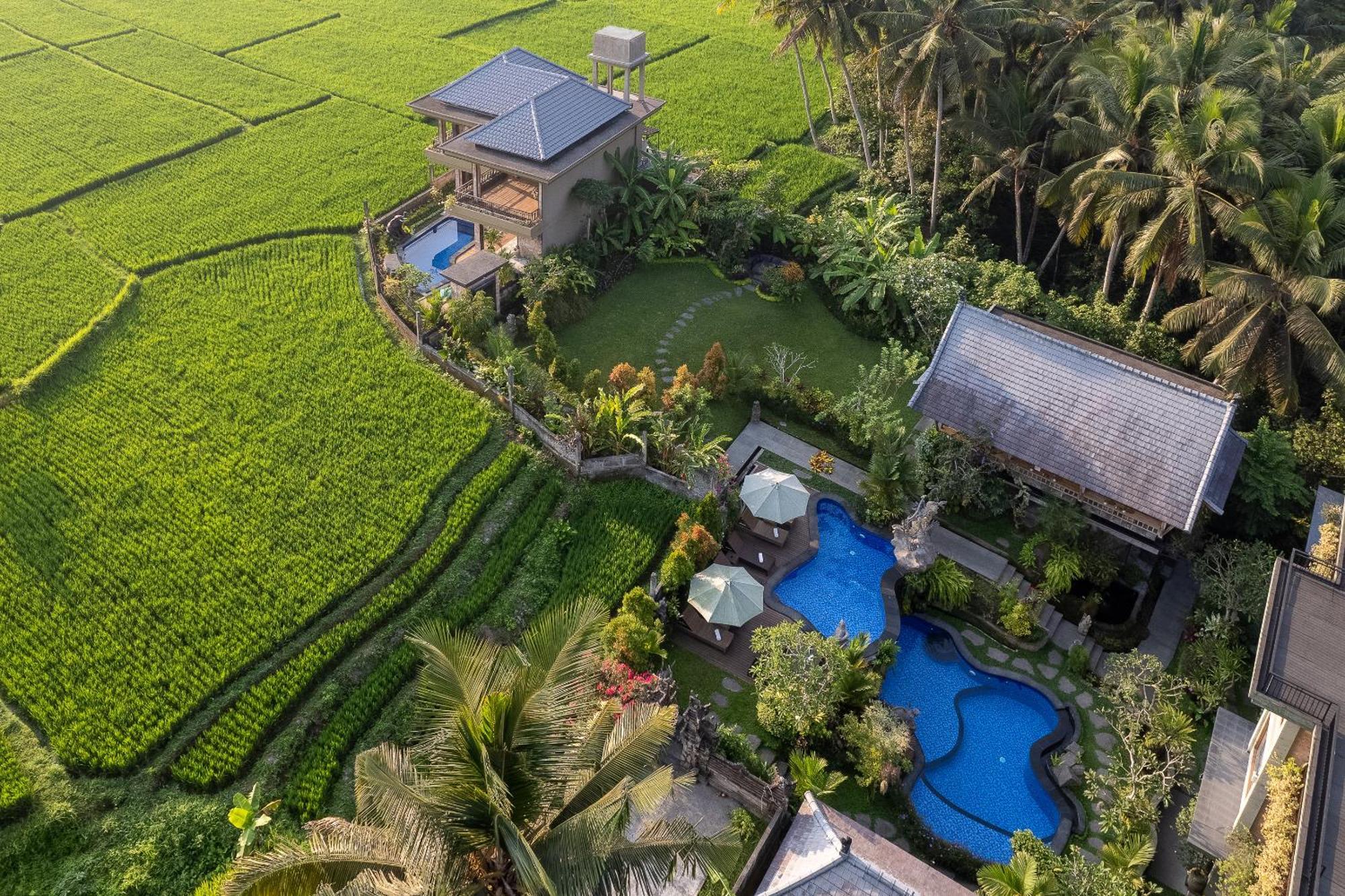 Gynandha Ubud Cottage Bagian luar foto